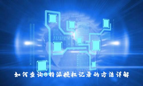 如何查询B特派授权记录的方法详解